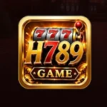 H789 Game